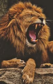Has March Come in Like the Adversary?