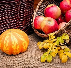 God Gets the Fruit of Your Harvest