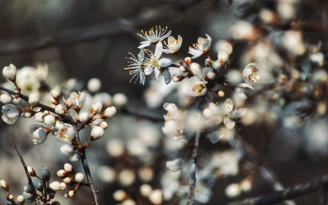 A Season of New Beginnings